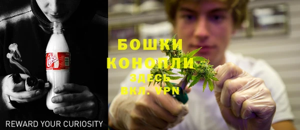 гашик Аркадак