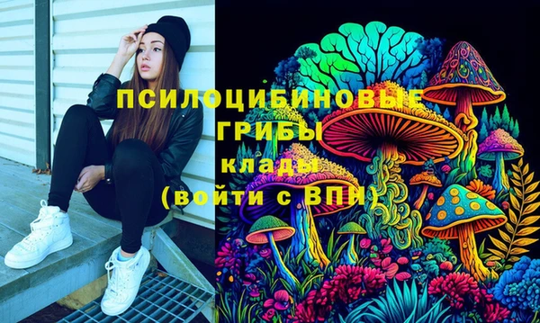 гидропоника Арсеньев