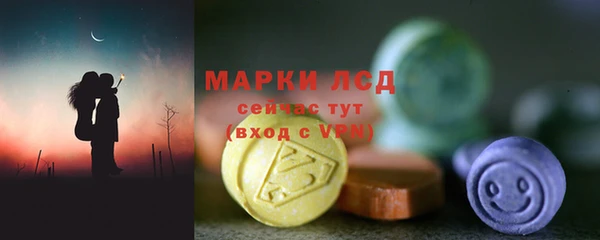 гашик Аркадак