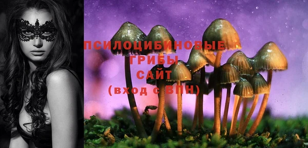гидропоника Арсеньев