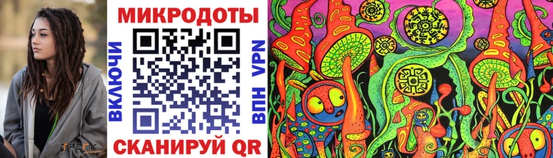 Псилоцибиновые грибы Psilocybine cubensis  Дно 