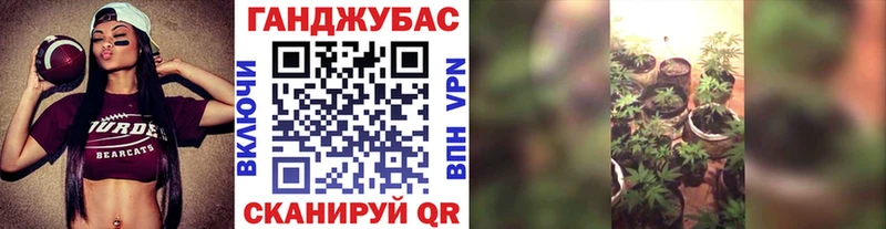 закладки  Дно  Бошки Шишки план 